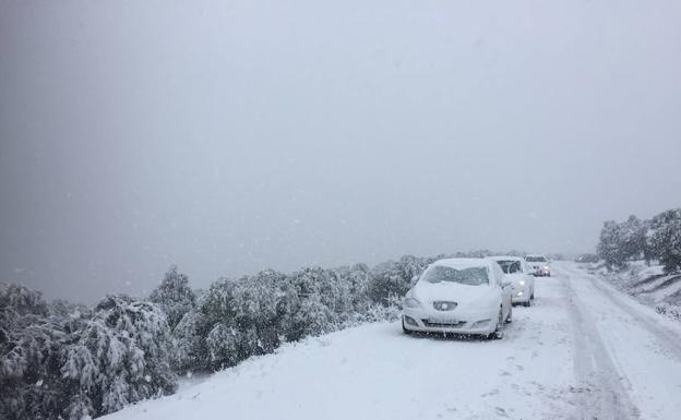 Nieve en la comarca lojeña, en Ventorros de San José./José Antonio Arco