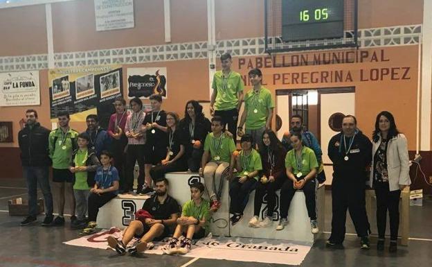 Medio centenar de jugadores de bádminton se dan cita en Montefrío