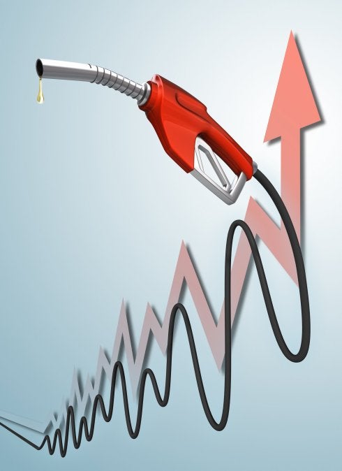 Junio da un respiro a los precios, que no se mueven en Jaén respecto a mayo