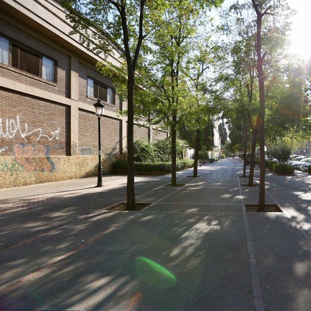 Zona del Paseo de los Basilios donde hicieron la quedada los jóvenes para pelearse.