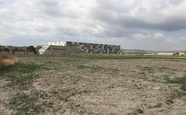 COAG alerta de que la falta de agua para riego "pone en jaque" las explotaciones agrarias de levante