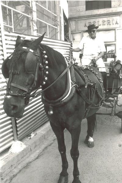 Manuel López, el último cochero de Granada