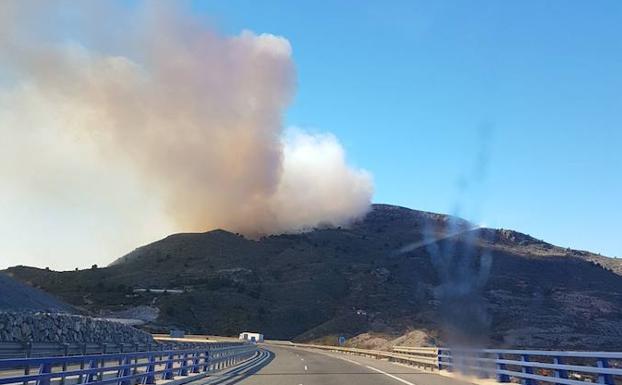 Declarado un incendio en el Tajo de los Vados de Vélez de Benaudalla