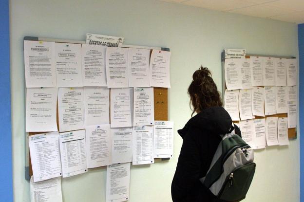 Una persona consulta un tablón con ofertas laborales en una oficina de empleo./IDEAL