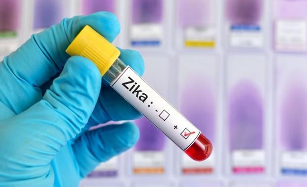 El virus del Zika ¿antídoto contra el cáncer?