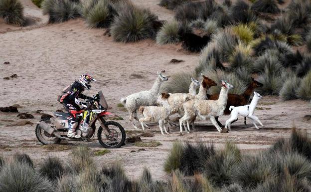 Una curiosa estampa del Dakar. /Reuters