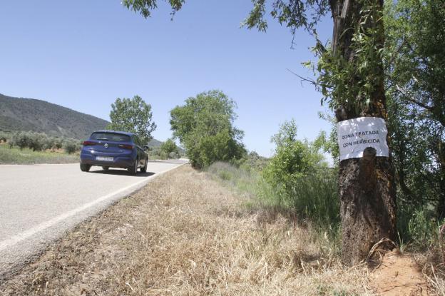 Varios carteles advierten del uso de herbicidas en las zonas próximas a la Ermita Vieja de Dílar./J.M.