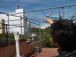 Una vecina señala la antena de telefonía, muy cercana a su casa. :: E. S./