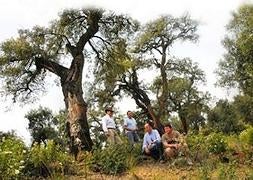 El Haza del Lino alberga la mayor reserva de bosque mediterráneo del sureste ibérico