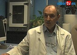 ¿Por qué las luciérnagas emiten luz?