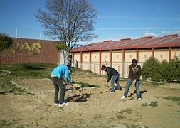 Estudiantes de Secundaria del IES Río Sorbas durante el proceso de plantación del huerto escolar. :: IDEAL/