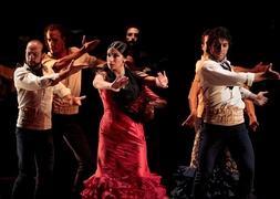Sencillez y coreografías muy visuales hicieron que el espectáculo ofrecido anoche gustara mucho a los asistentes a a la primera sesión en la Alhambra. :: RAMÓN L. PÉREZ/