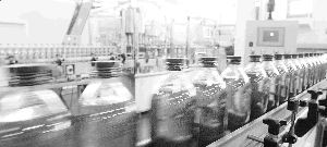 PLANTA DE EMBOTELLADO. El aceite de oliva envasado supone ya casi el 50 por ciento de las exportaciones españolas. /FRANCIS J. CANO/