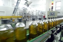 El sector advierte que no habrá demasiado aceite de enlace. /IDEAL/