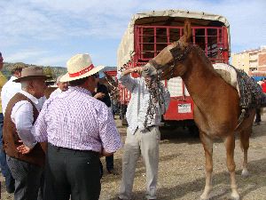 Para ser un buen tratante de ganado es imprescindible tener labia, saber apreciar lo bueno y temple para no calentarse./