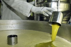 Nuevas técnicas permitirán determinar la composición exacta de los diferentes tipos de aceite de oliva. ::
J. PEDROSA/
