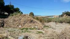 Los agricultores piden ampliar la limpieza del río hasta Fuentes de Marbella