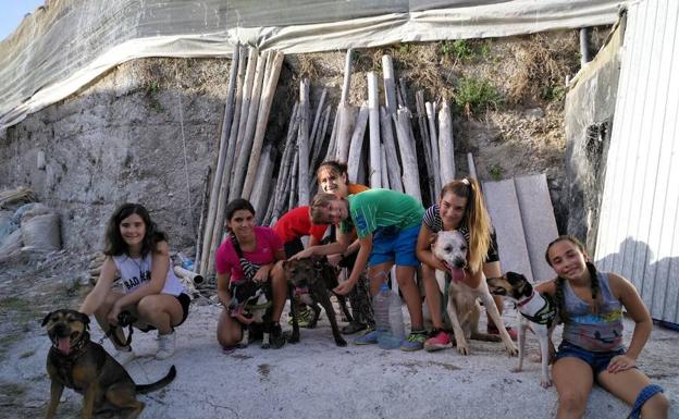 Las protectoras de animales, una segunda oportunidad para 3.000 perros sin hogar
