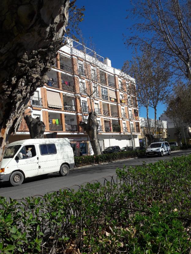Ladridos que roban el sueño