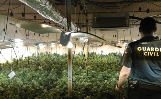 Las plantaciones de marihuana y los enganches ilegales están detrás de los cortes de luz en Berja