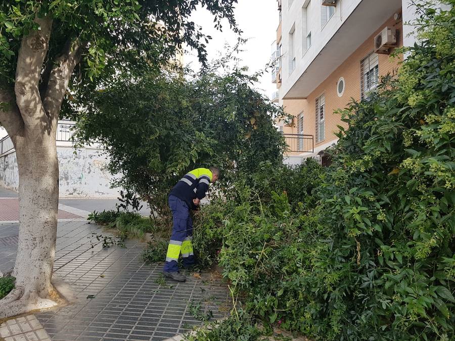 Adra dobla el personal para arreglar los jardines