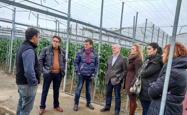 El PSOE reivindica ayudas para los agricultores afectados por el tornado en Adra