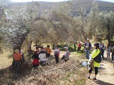 Alcolea celebra la Ruta de los Olivos este domingo