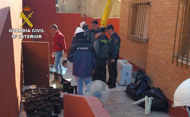 Desmantelan 56 enganches ilegales a la luz e intervienen 53 plantas de marihuana