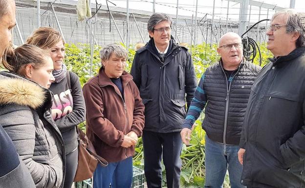 El temporal salpica de nuevo a varias fincas agrícolas de La Habana en Adra