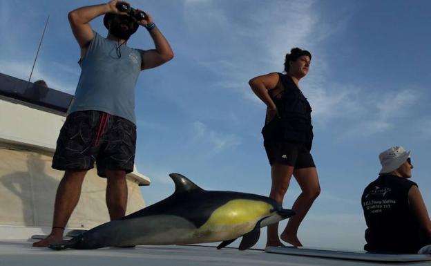 Promar declara la guerra al plástico desde la costa de Adra