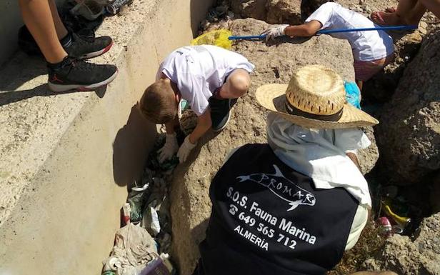 Gestos anónimos para mantener limpio el mar