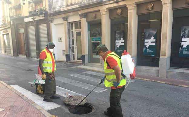 Berja aplica un tratamiento contra ratas, cucarachas e insectos en espacios públicos