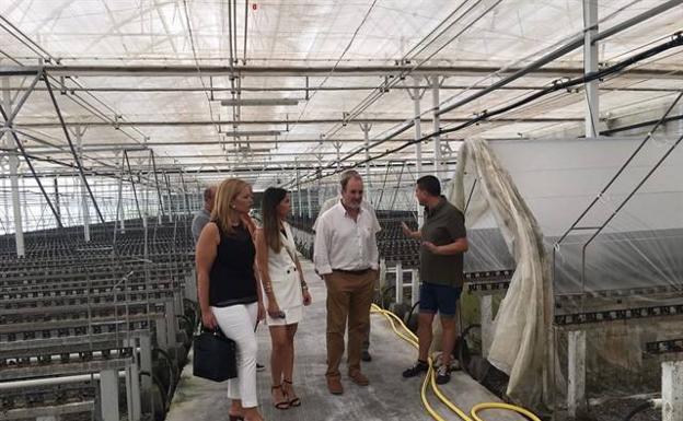Semillero Los Crespos recibe una subvención de 137.000 euros para ampliar sus instalaciones en Adra