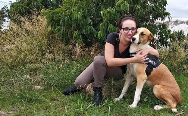 Berja se compromete con el 'sacrificio 0' de animales abandonados