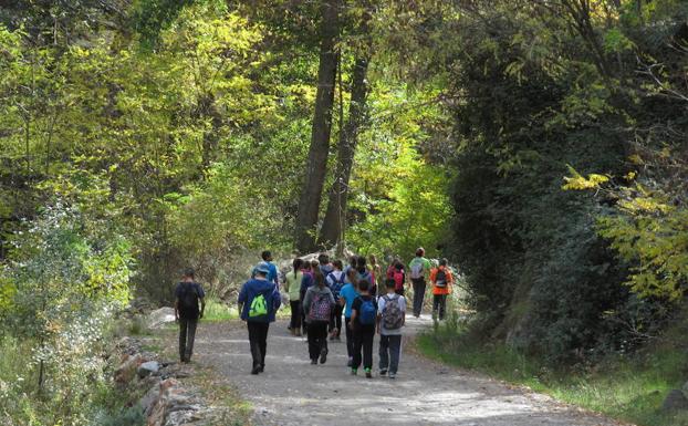 El Centro de Visitantes de Laujar cambia de empresa gestora