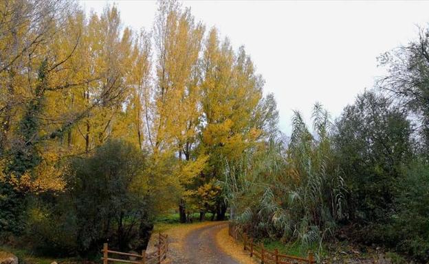 Fondón saborea el otoño