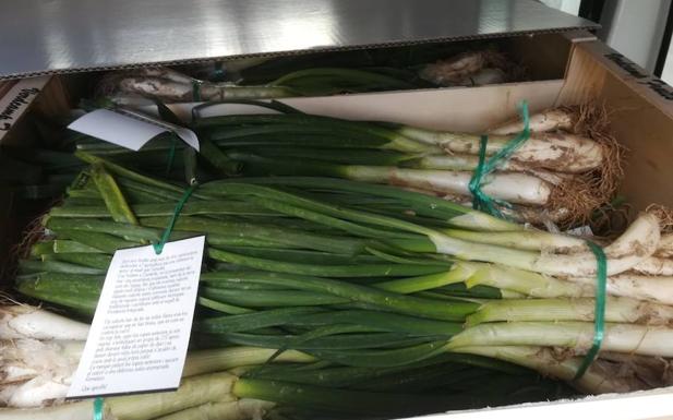 Jornadas del Calçot en el restaurante Gárum de Adra