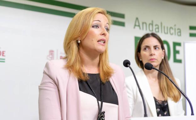 Piqueras denuncia que la deuda del Ayuntamiento con el Consorcio del Poniente roza los dos millones