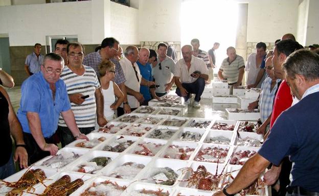Puertos adjudica las obras para poder visitar la lonja de Adra
