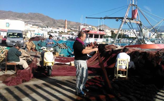 El sector pesquero y el delfín mular, un conflicto de intereses por resolver