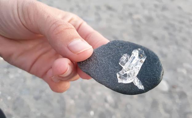 Las 'salpas', invertebrados habituales en la costa de Adra