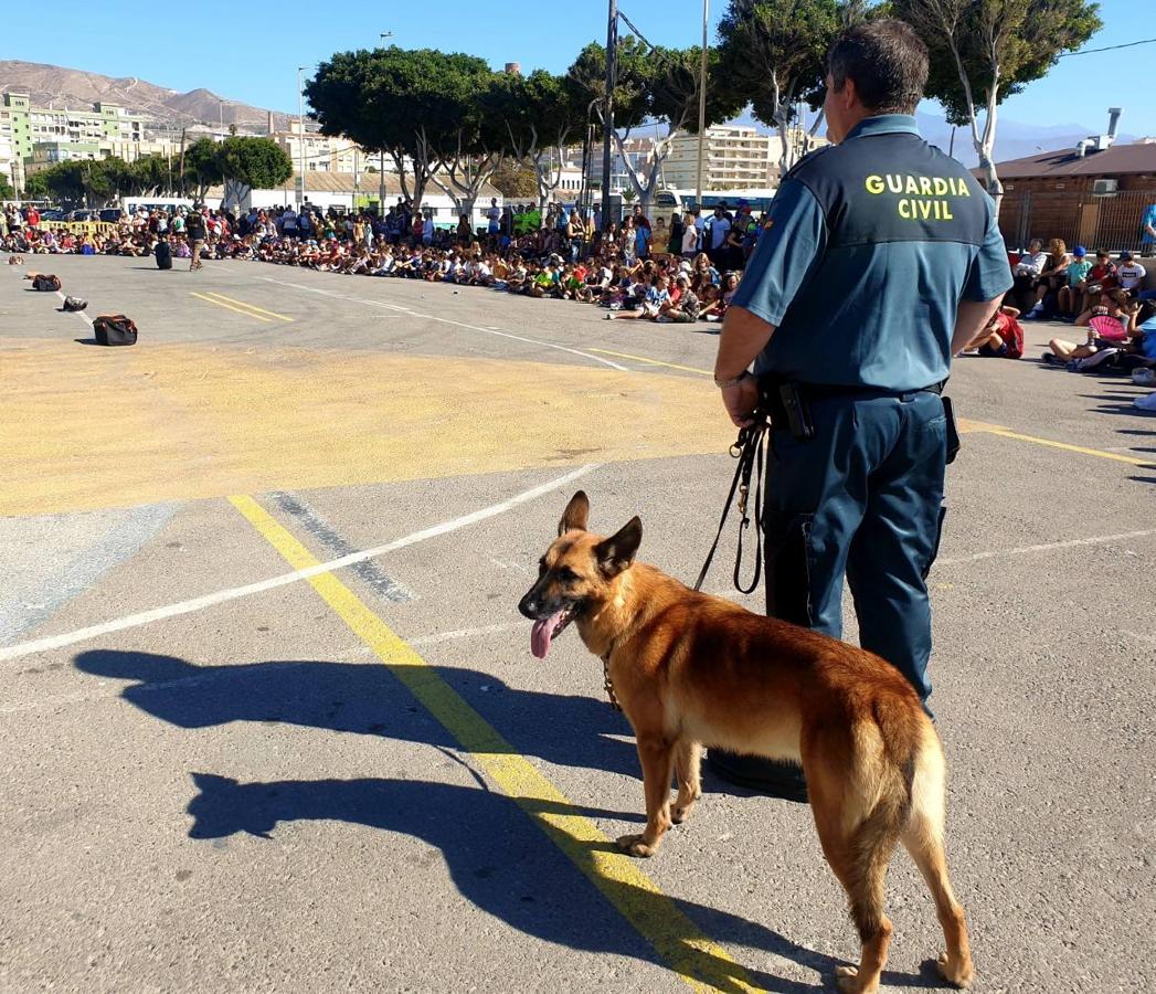 La Guardia Civil se acerca a los abderitanos