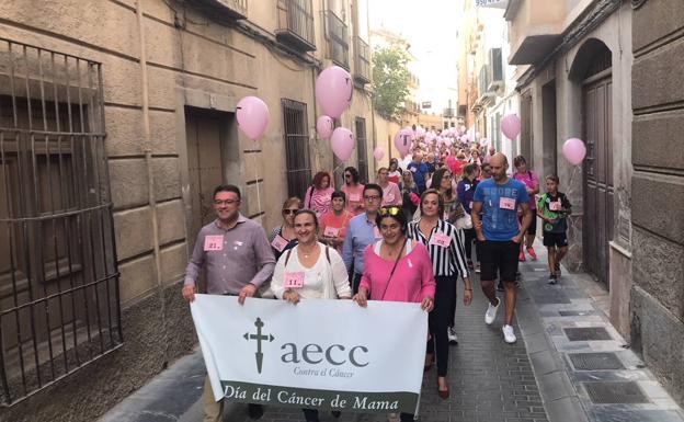 Berja se une al rosa
