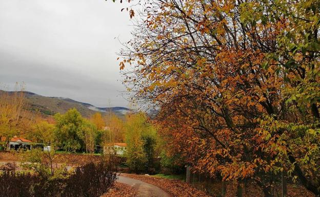 Fondón invita a descubrir el color, el sabor y el olor del otoño