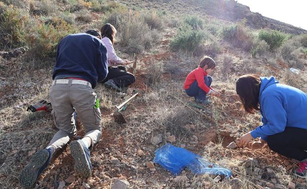 Berja 'declara la guerra' al cambio climático plantando árboles en Castala