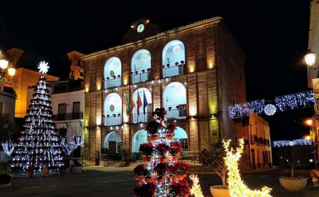 La flor de pascua, protagonista en la Navidad de Laujar