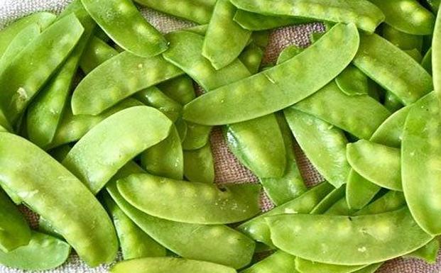 El tirabeque de Dalías consolida su exclusividad como producto gourmet
