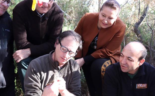 Los murciélagos tendrán su refugio en las Albuferas de Adra