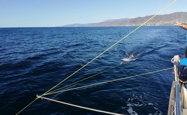 La costa de Adra, objeto de estudio para analizar los microplásticos que oculta