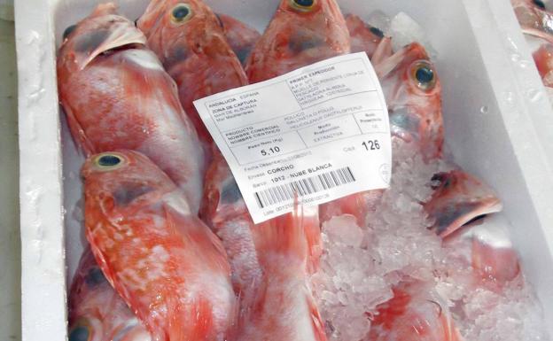 Pescado a domicilio en Berja